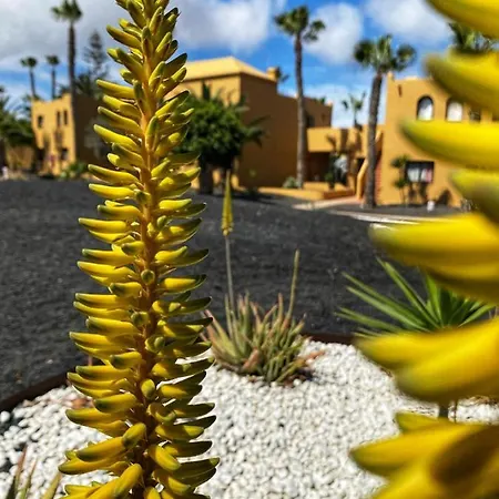 Vivienda Vacacional Casa Simbamar Apartment Corralejo